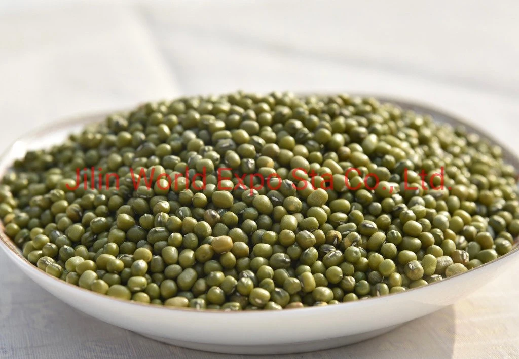 Wholesale/Supplier Dried Green Beans 4.0mm for Food