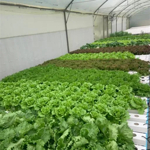 Agricultura Greenhouse Commercial Industrial Nft Uniformed Planting PVC Nft Channel System