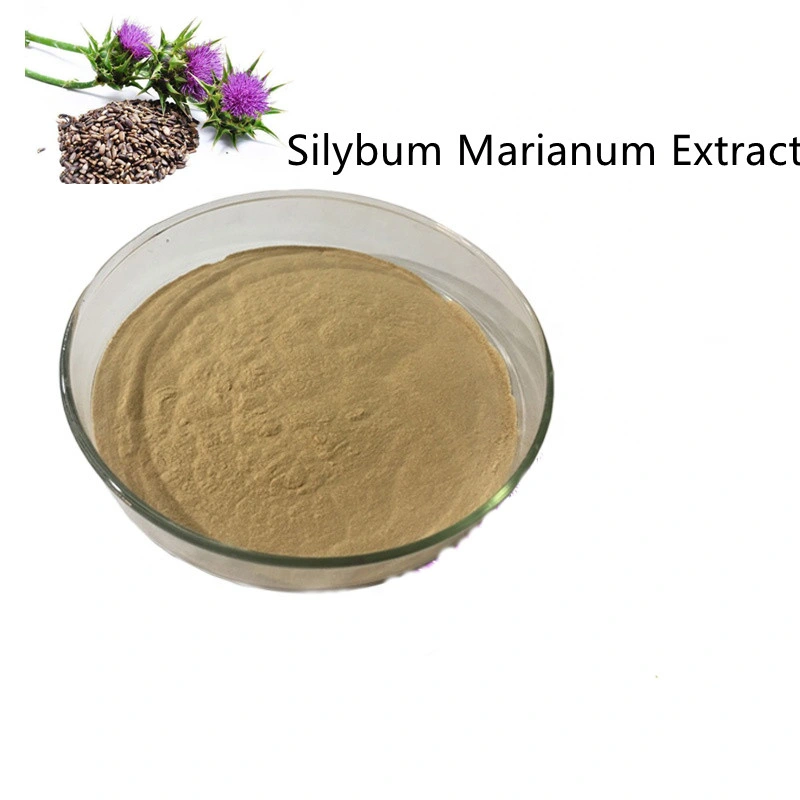 Best Milk Thistle Extract Silybum Marianum Extract CAS No. 84604-20-6