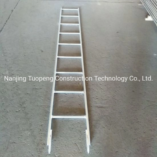 Monkey Ladder Pre-Galvanized Square/Round Steel Tube Scaffolding Climb Ladder