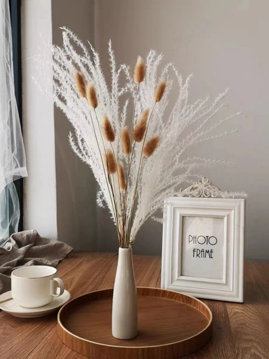 Hot Natural Home Decor Wedding Centerpieces Guest Gifts Dried Flowers