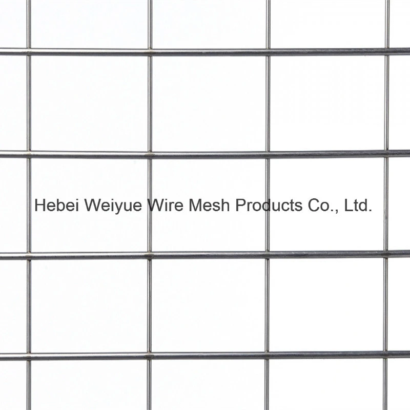 Galvanized Stainless Steel Welded Wire Mesh Used for Construction