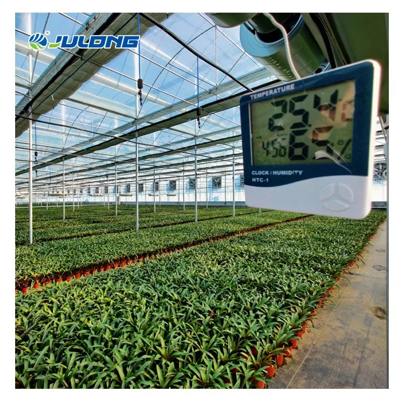 Commercial Multi-Span Tunnel Plastic Film Greenhouse Hydroponics Growing System for Tomatoes Cucumbers