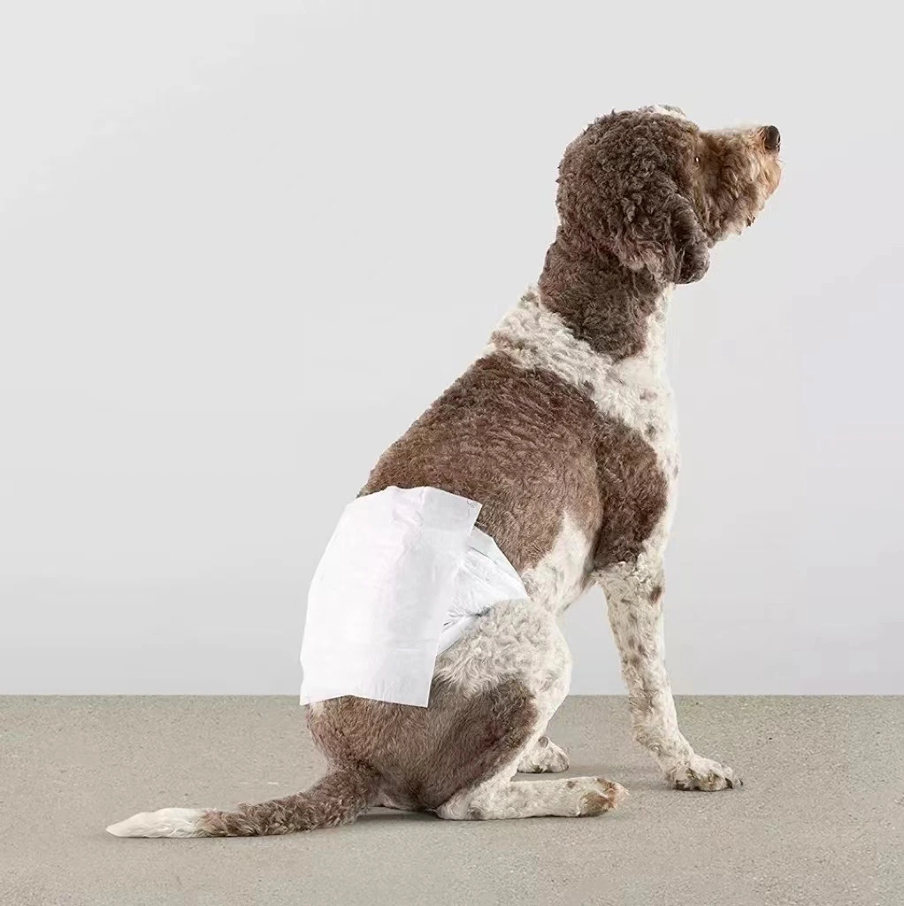 Disposable Male Dog Wraps, Breathable Outer Layer with Wetness Indicator