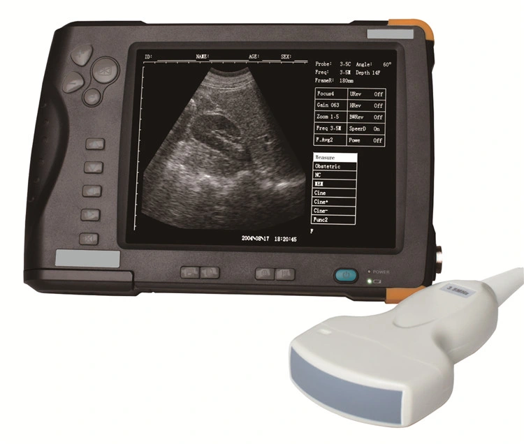 Medical Handheld Animal Vet Ultrasound Therapy Machine Price