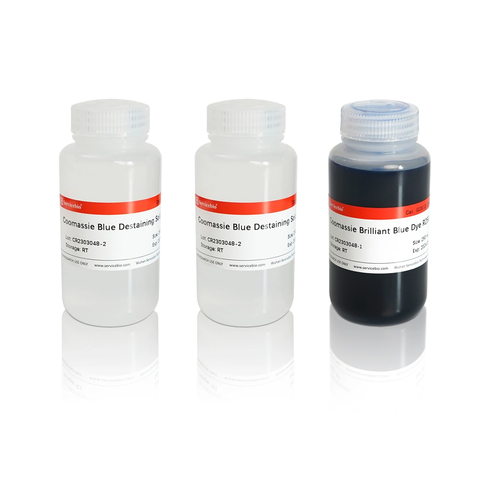 Kit de tinción azul brillante Coomassie Liquid descolonizante para inmunotransferencia