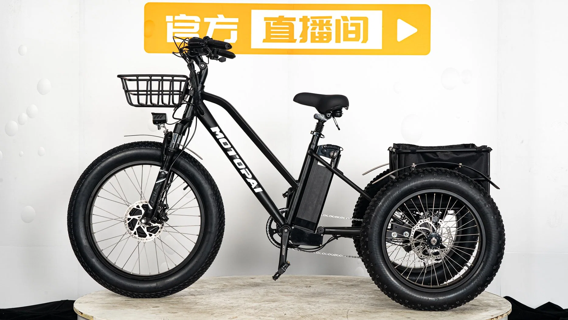 2023 500W Motor 48V13ah Lithium Battery Electric Trike