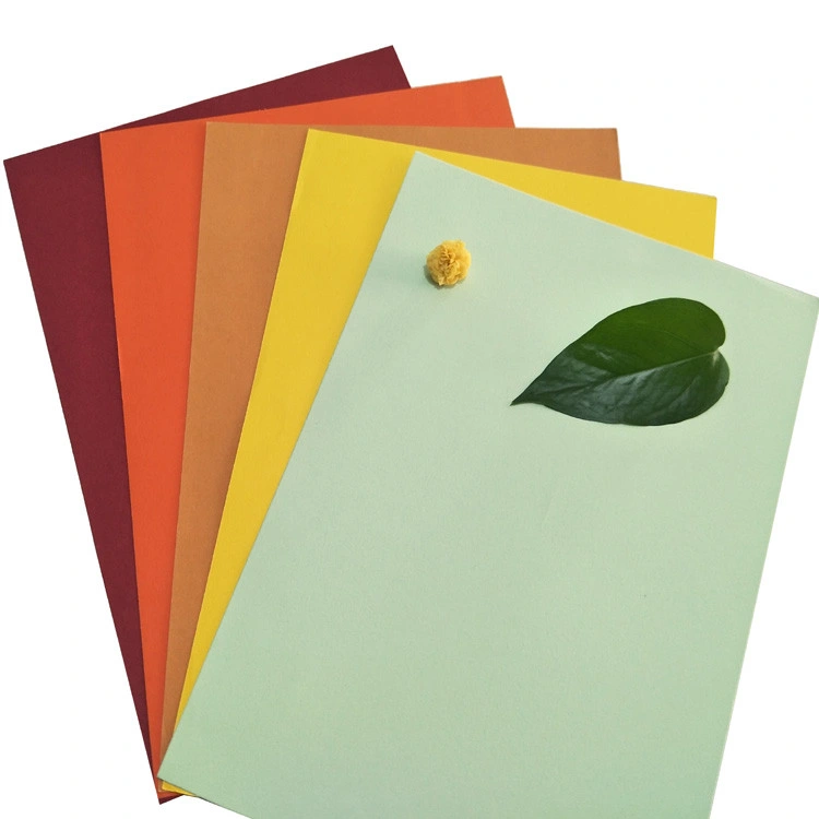 140-350GSM Color Bristol Board Paper/Color Card Board/Manila Board Paper