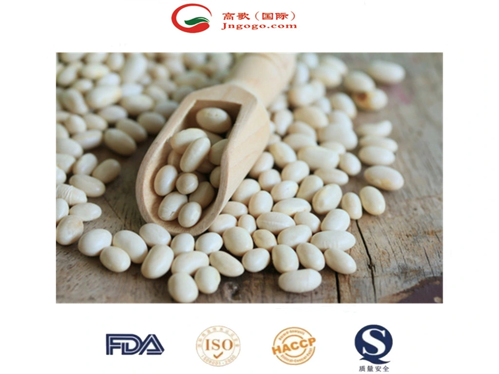 High quality/High cost performance Japanese White Kidney Bean