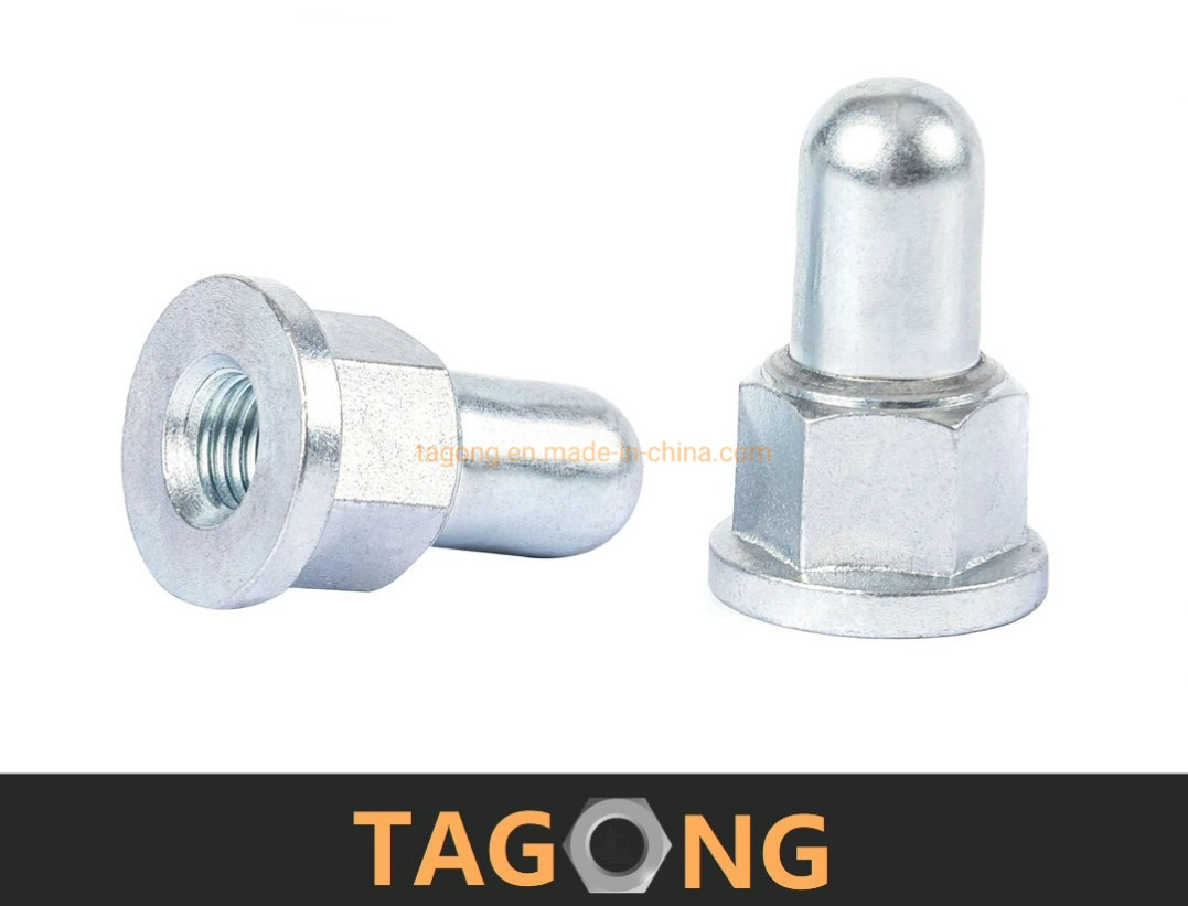 Zinc Plated Carbon Steel Nut DIN1587 DIN917 Acorn Nut Cap Nut