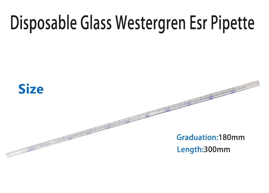 30cm vidro descartável Westergren ESR Pipetar para o laboratório