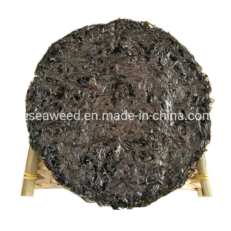 Factory Export Dried Nori Seaweed Laver for Japanese Sushi