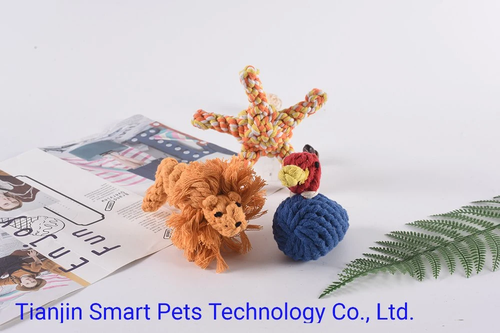 Best OEM Customized Rope Knotted Pet Dog Toy Supply Manufacturer