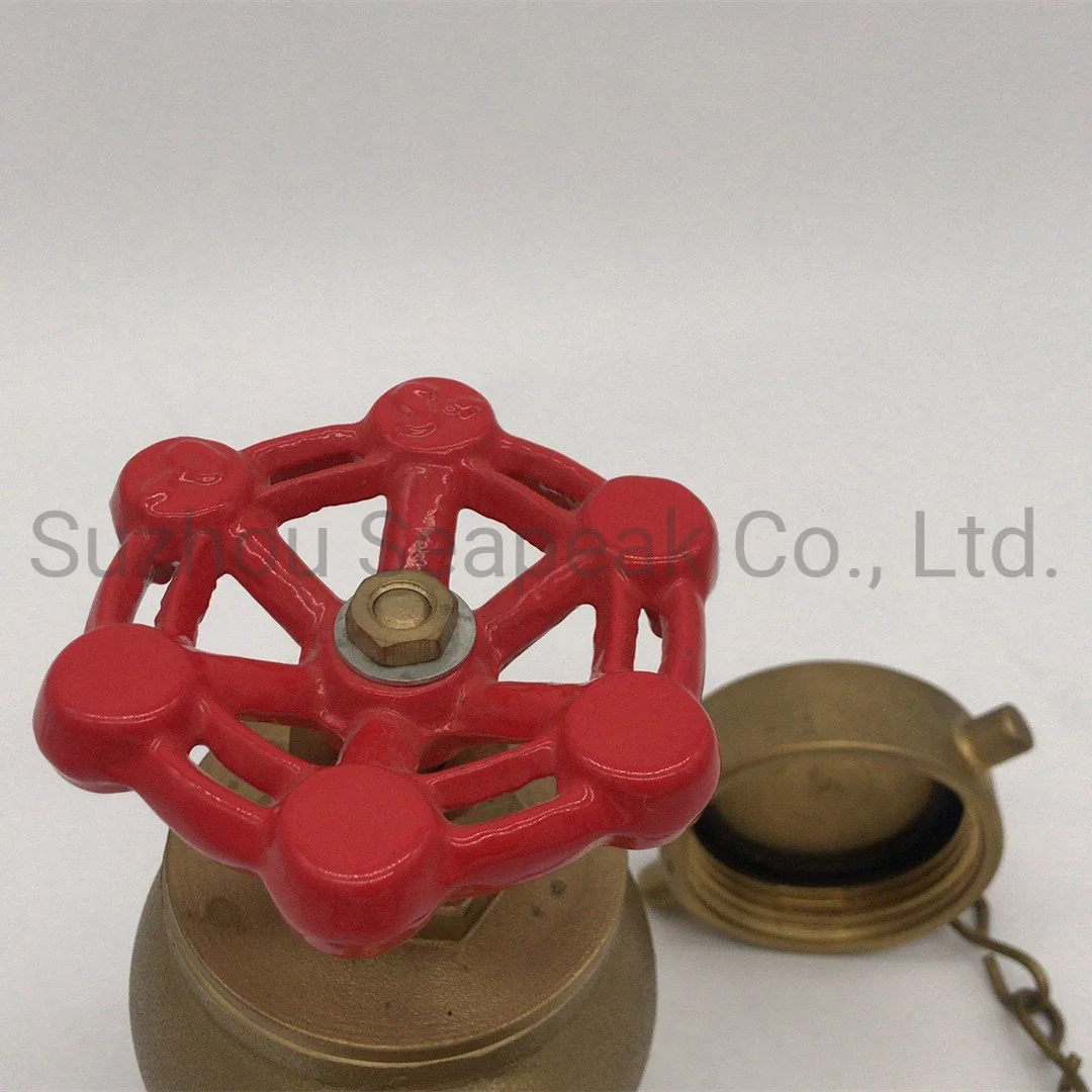 Fire Landing Valve Storz Type Fire Hydrant