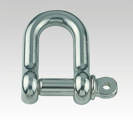 High-Strength Rigging D Shackle for Anchor Chain Shackle