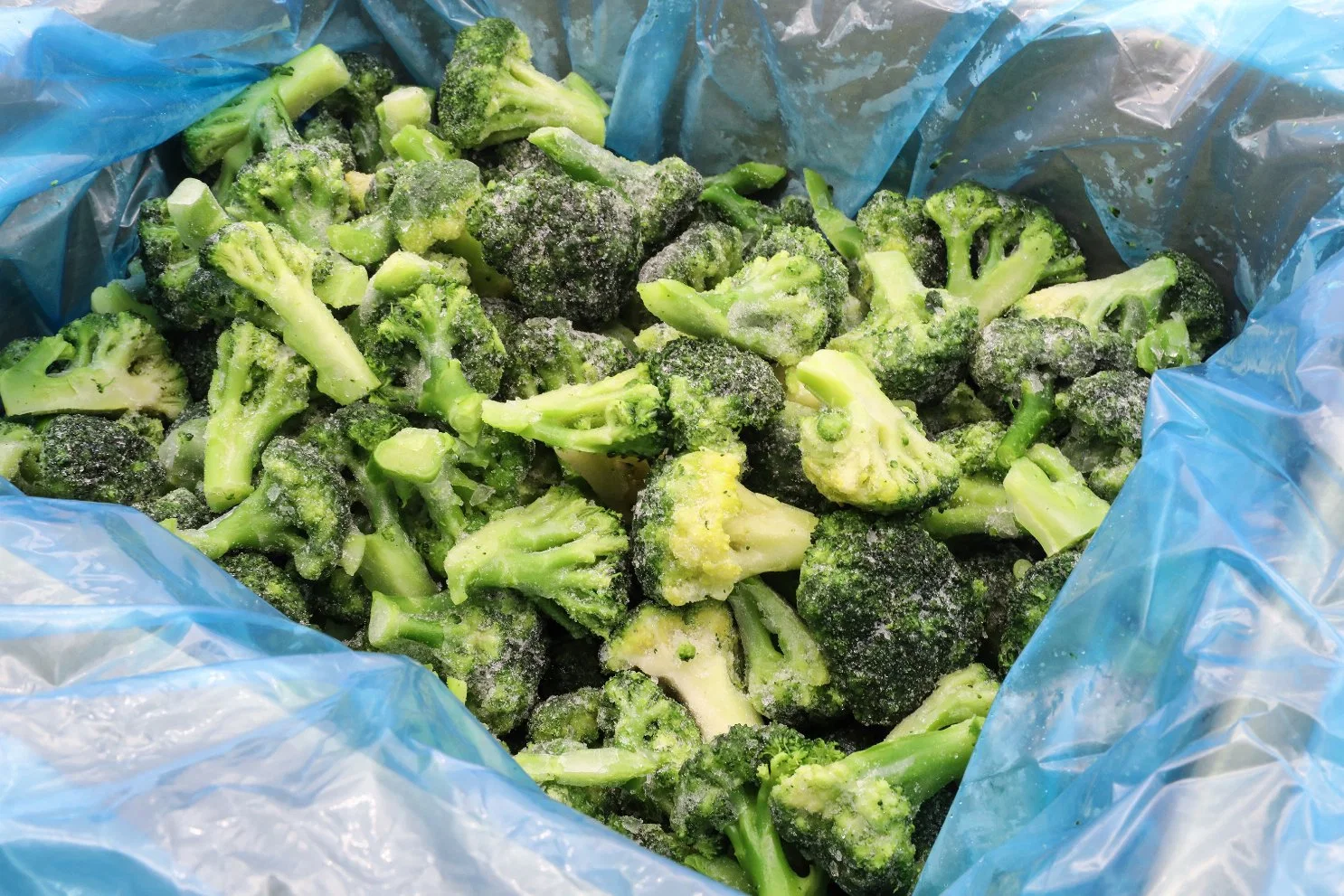 Sinocharm Brc-a homologada IQF Brócolos 3-5cm 2-3cm Floret congelados brócolos