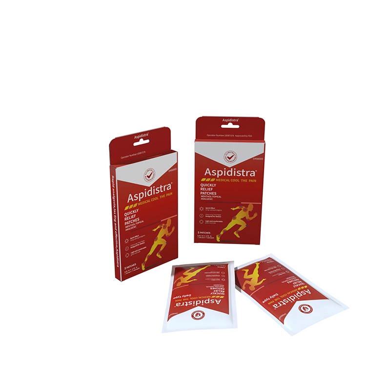 Free Samples Fast Effect Chinese Traditional Herbal Sports-Related Pain Patch