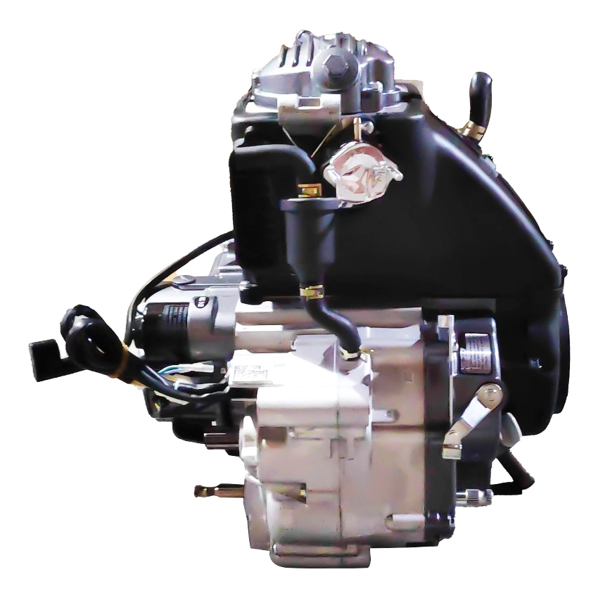 OEM Factory Shop Zongshen Cg200d Air-Cooling Motorcycle Spare Parts 4-Stroke 5-Speed Cargo Tricycle 200cc Engine