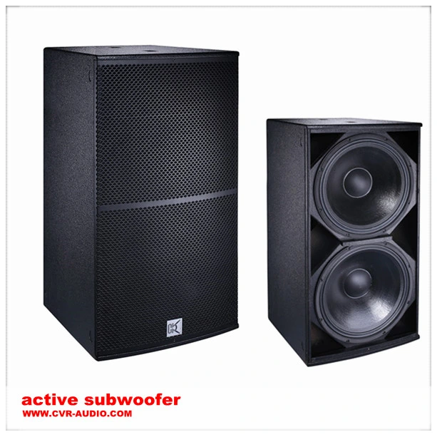 21" DJ Subwoofer Professional Audio Equipment