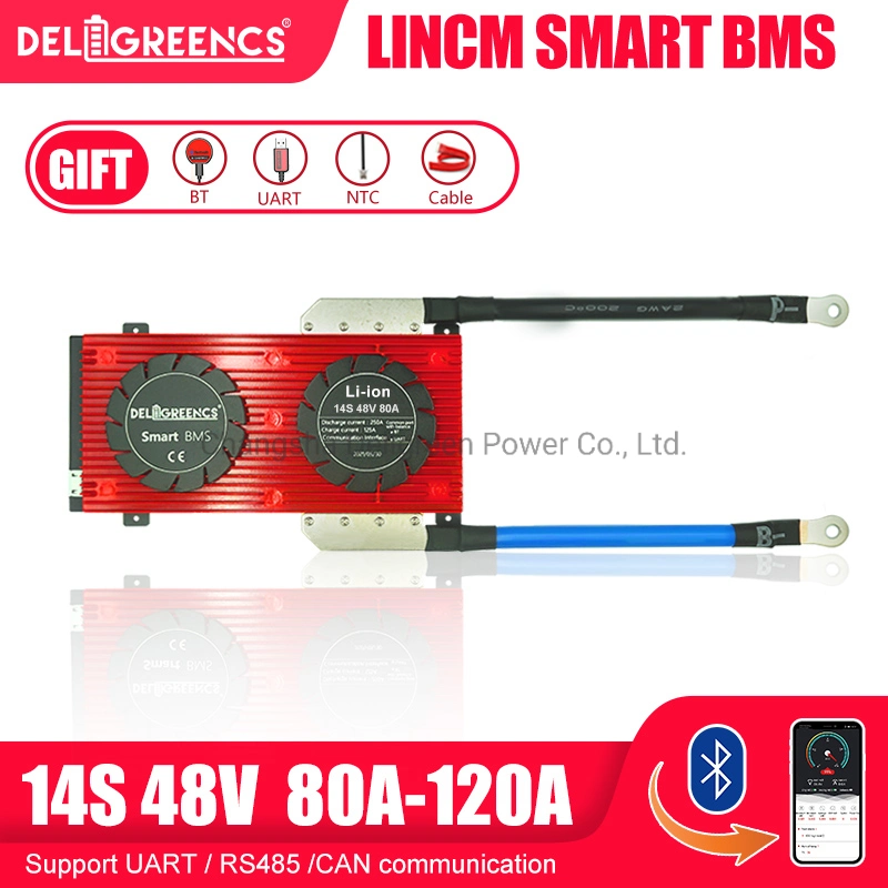 Battery Management System 48V 8s 4s Lifpo4 Smart BMS Board with Bt+Uart Communication for Tourist Sightseeing Vehicle