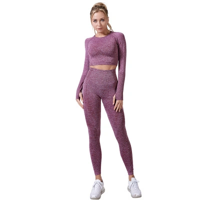 2 PCS/definir as mulheres sem costura Sport Suit Ginásio roupas de Ginástica Fitness topo de cultura de Manga Longa e amassar mechas Perneiras Topo Conjunto de ioga