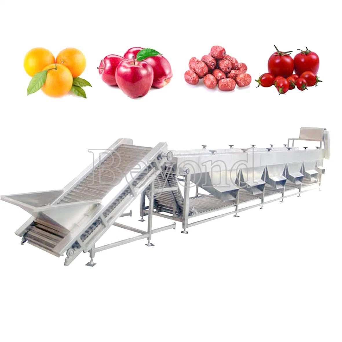 Fruit juice processing equipment automatic mango grading machine