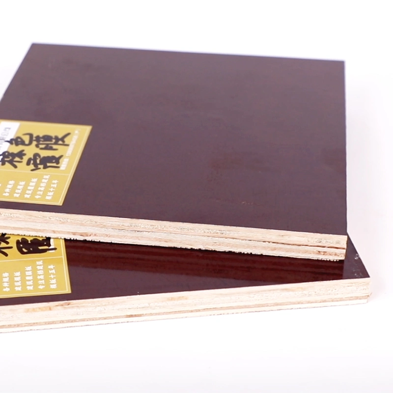 Building Material Film Faced Plywood Natural Veneer Construction Plywood