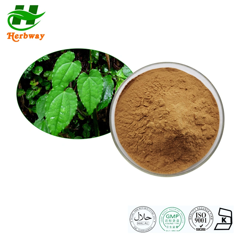 Herbway Kosher Halal Fssc HACCP Certified Isolated Icariin Man's Health Botanical Extract Epimedium Extract