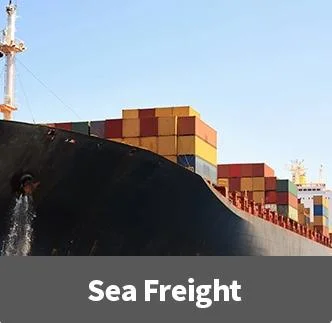 Freight Forwarder Shenzhen to Yamen Hodeidah FCL