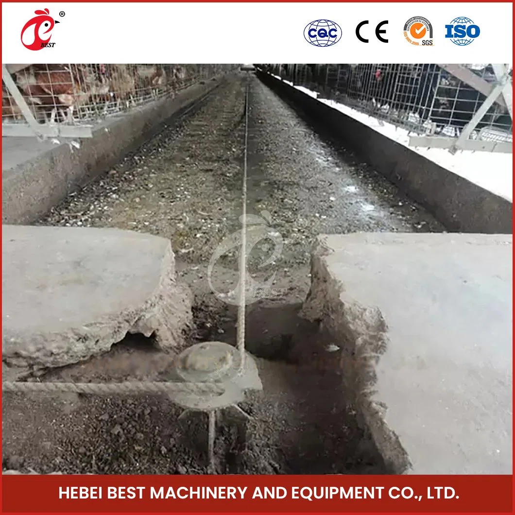 Bestchickencage Manure Removal System China Cage System Poultry Manure Cleaning Scraper Supplier Customized Environment Friendly Manure Removal System Equipment