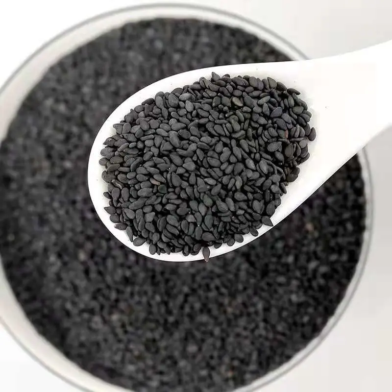 100% Certified Natural Organic Black Sesame Seeds Hot Selling Sesame Raw Sesame Seeds