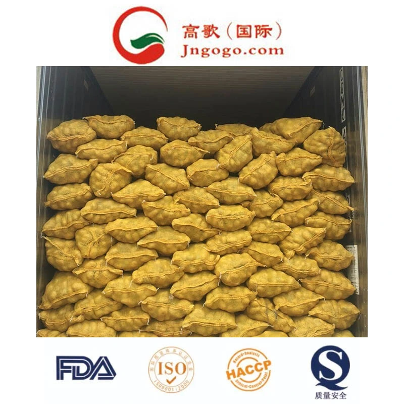 New Crop Fresh Potato Supplier (150g and up)