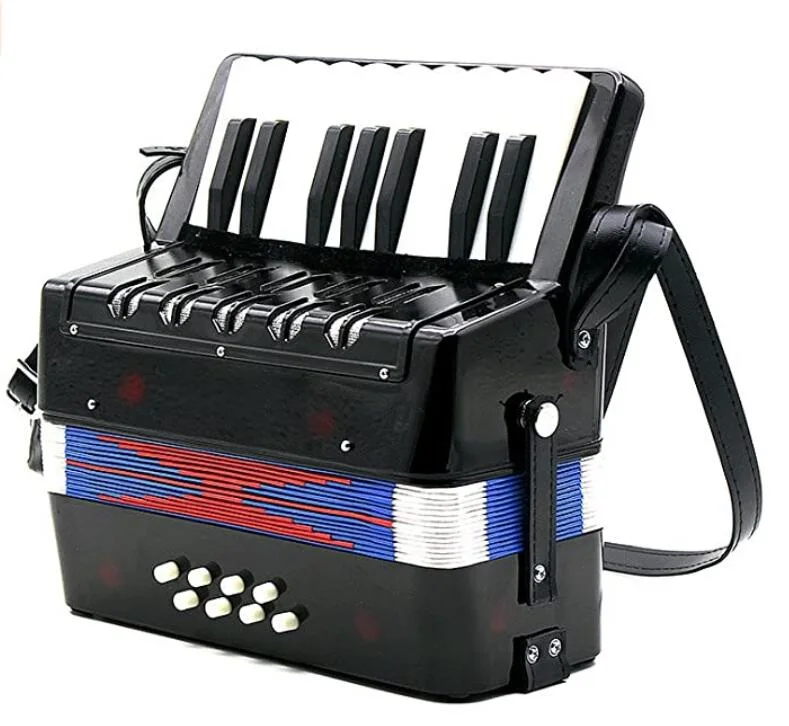 Amazon-17 Key 8 Bass Mini Small Toy Piano Accordion Kids Children Educational Musical Instrument, Gift with Color Box