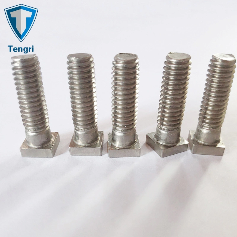 Special Fastener Square Head T Bolt Hanger Bolt Hand Bolt Stainless Steel