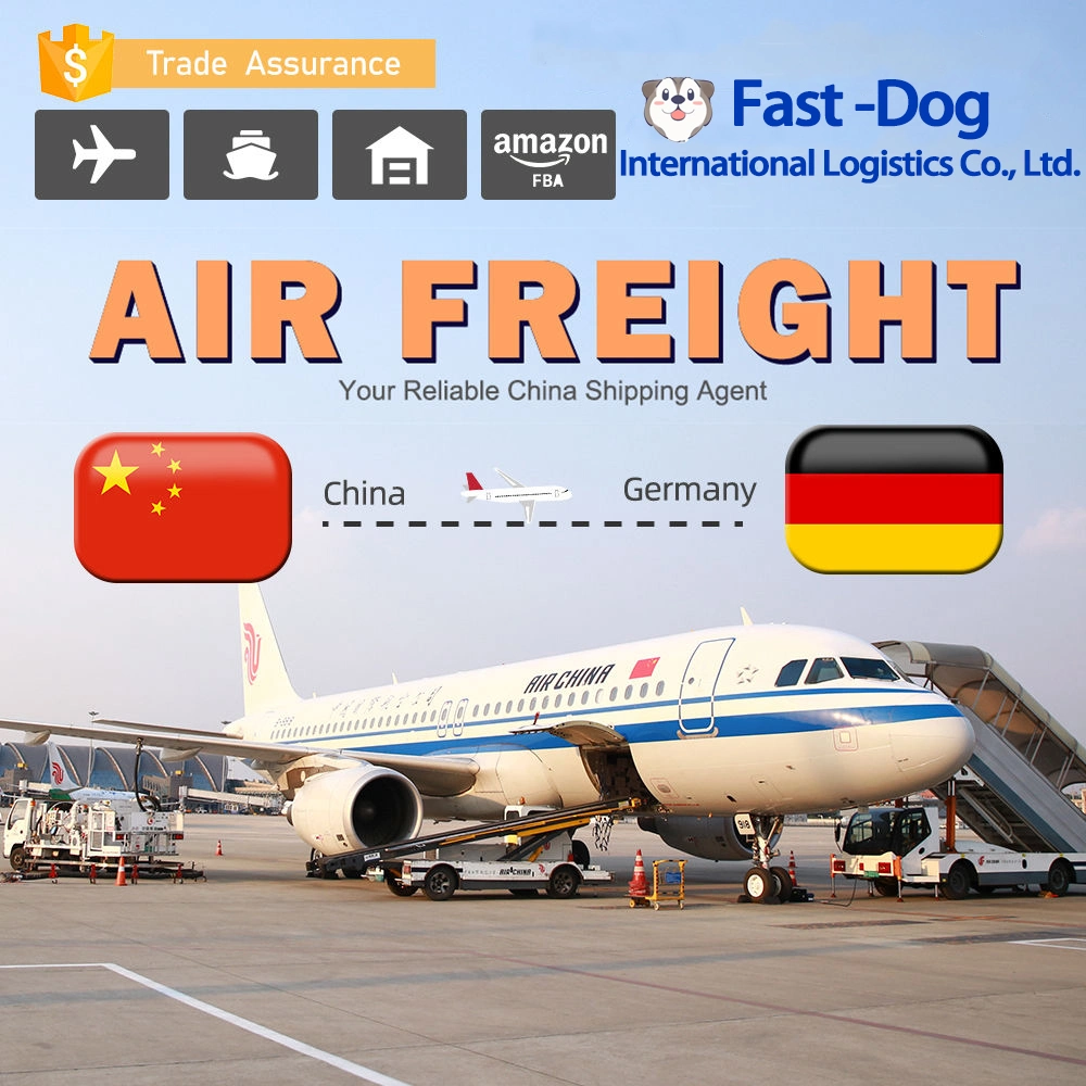 Amazon Fba China Shipping Door to Door Service Air/Sea Cargo to Canada /USA/UK/Europe