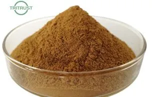 OEM Turkesterone Powder Muscle Building Ajuga Turkestanica Extract Powder 2% 10% Turkesterone Capsule CAS 41451-87-0