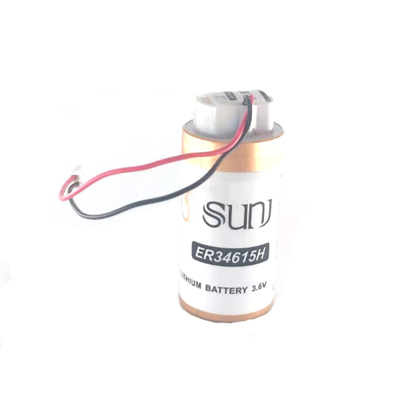 3.6V 19000mAh Er34615h Plus EPC1520 Lithium Battery Pack for The Meter Category