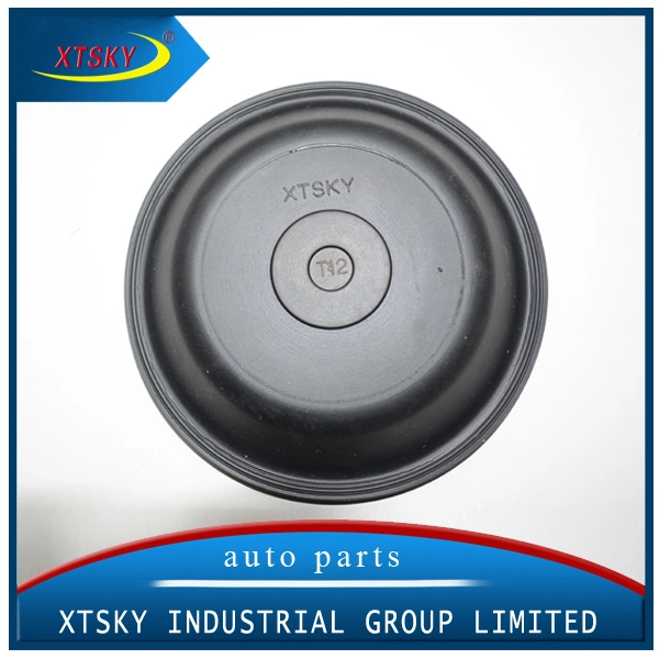 Diaphragm Rubber Product (T24)