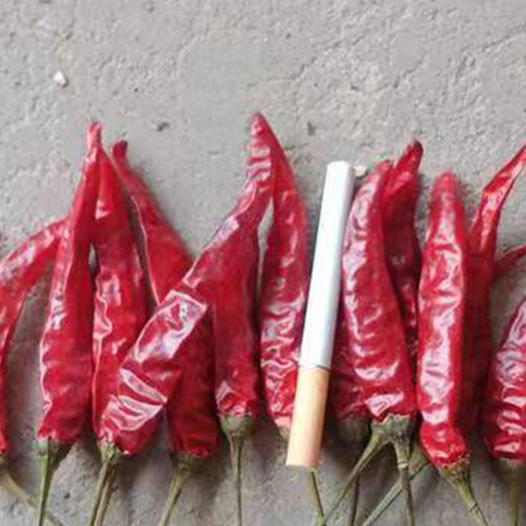 High Pungency Dried Red 819 Chilli Whole