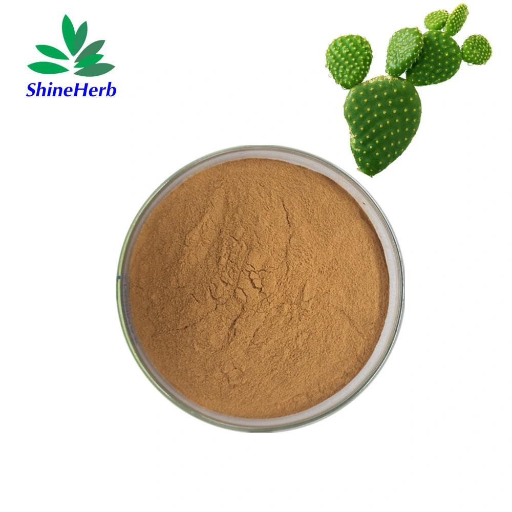 10: 1 Opuntia Ficus Indica Stem Extract Cactus Extract