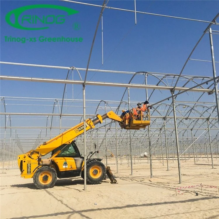 2021 China Factory Multi-span Film Greenhouse with Inner Shading System