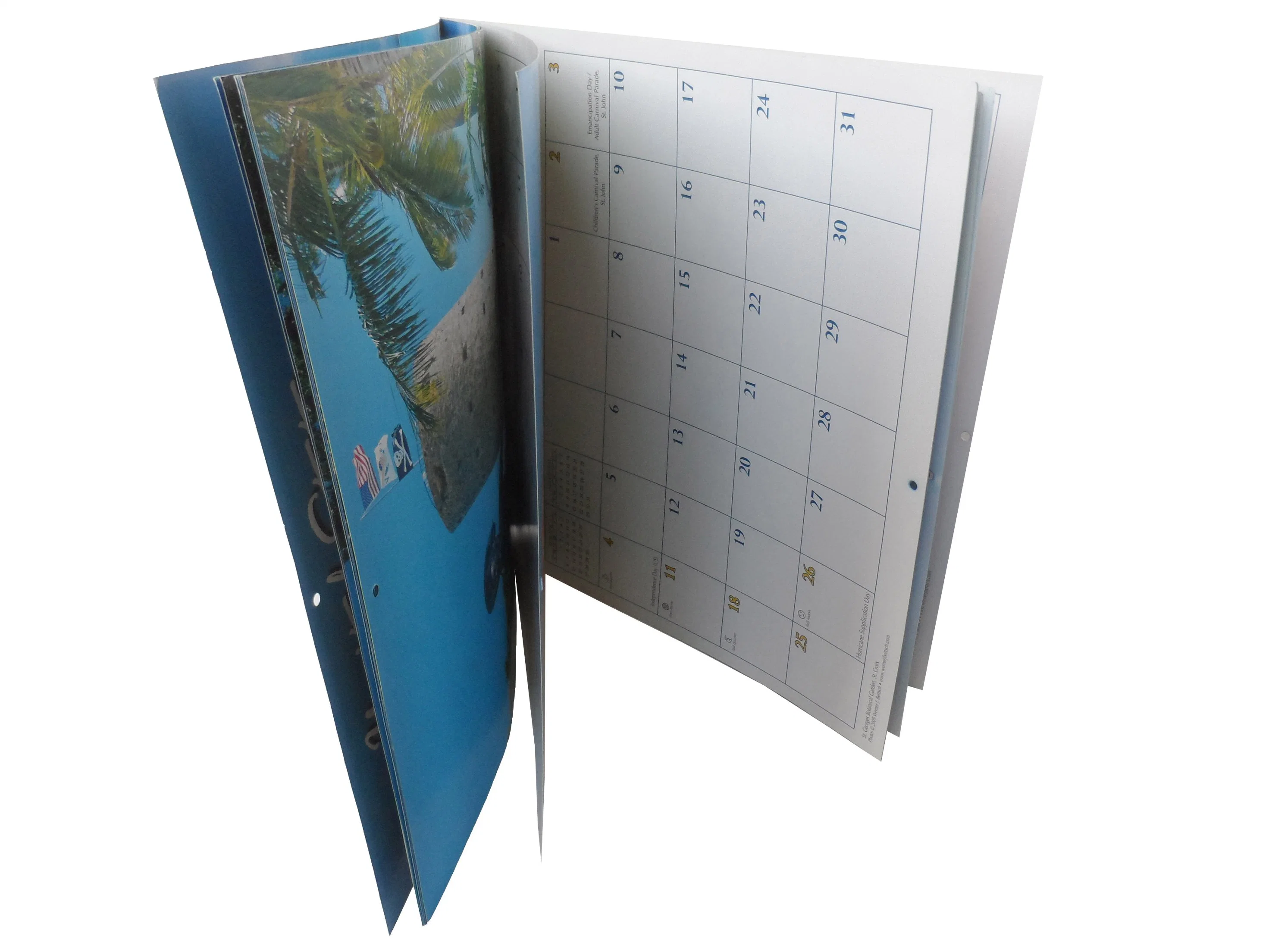 Benutzerdefinierte Größe Wandkalender Planer für Haus und Ofiice Dekoration 365 Tage Kalenderdruck