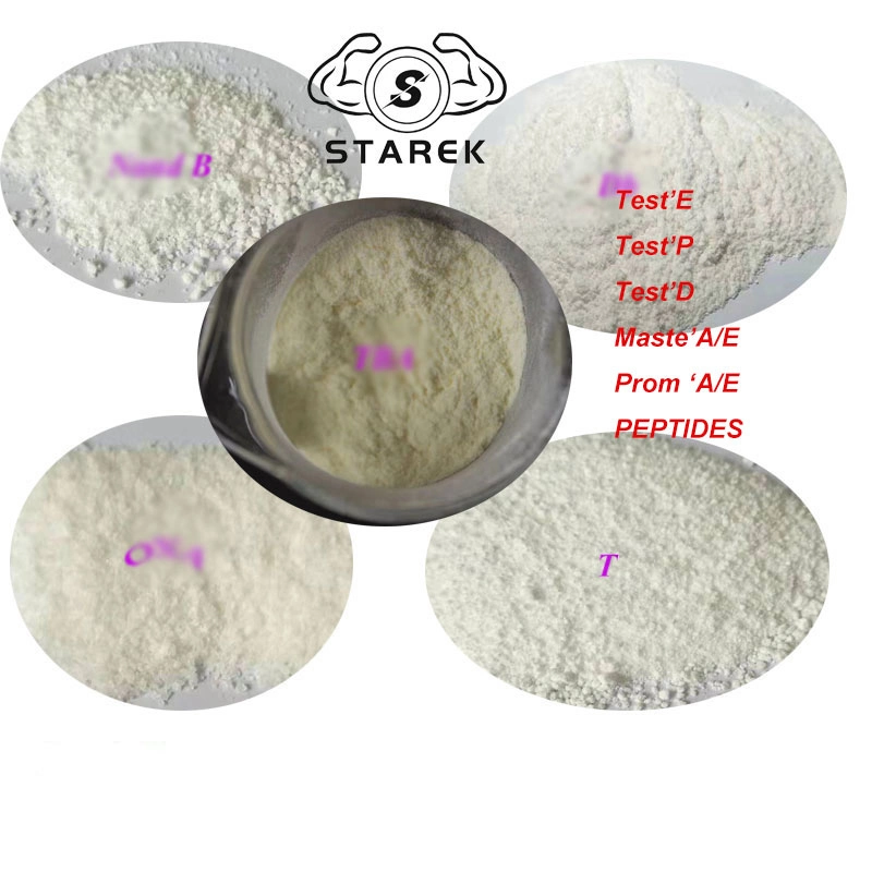 Factory Supply Steroids Powder Raw Weight Loss L-Carnitine Raw Powder Pharmaceutical Intermediate