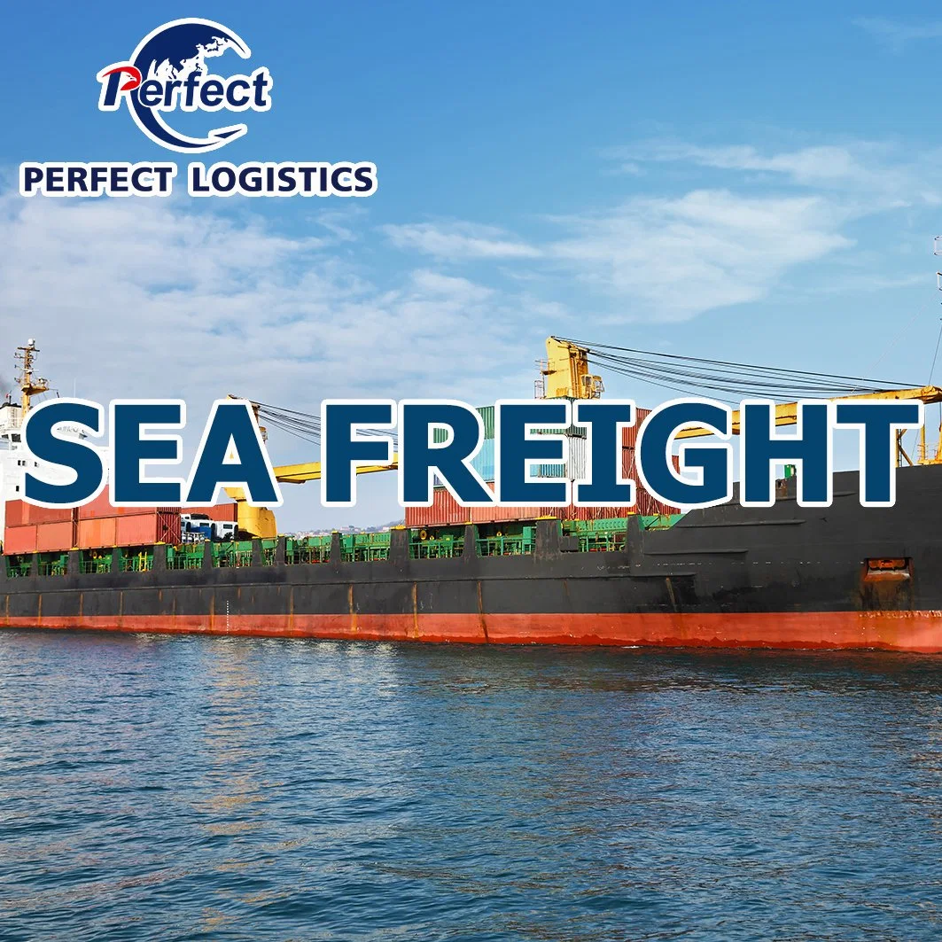 Cheap Freight Rates Shipping Logistics Service Agent From China to Estonia