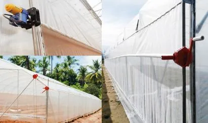 Agriculture Strawberry Commercial Greenhouse Galvanized Frame Poly Tunnel Single Span Greenhouses Metal Frame Double Layer Film Greenhouse