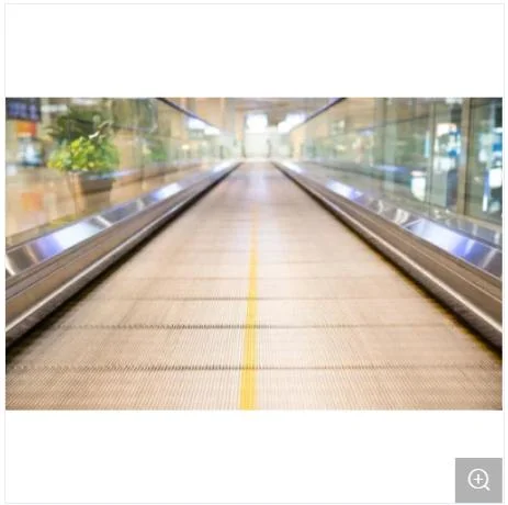 Good Price 0.5m/S European Safety Standard Escalator Supplier