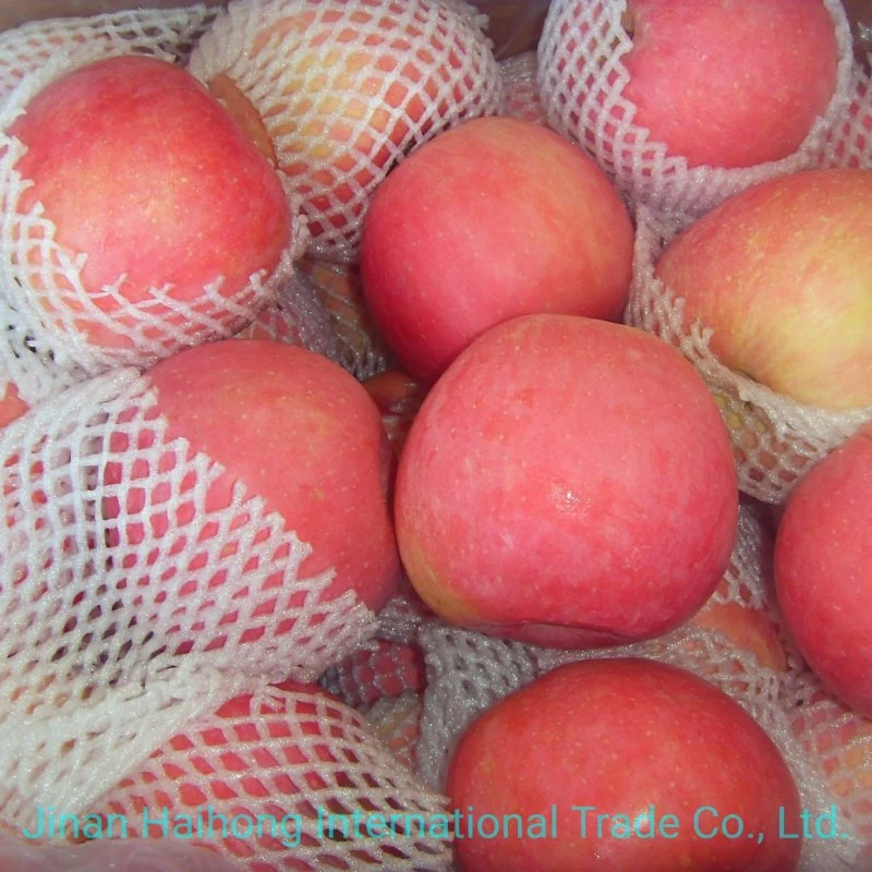 2019 Las frutas frescas de manzana Fuji manzana roja de China