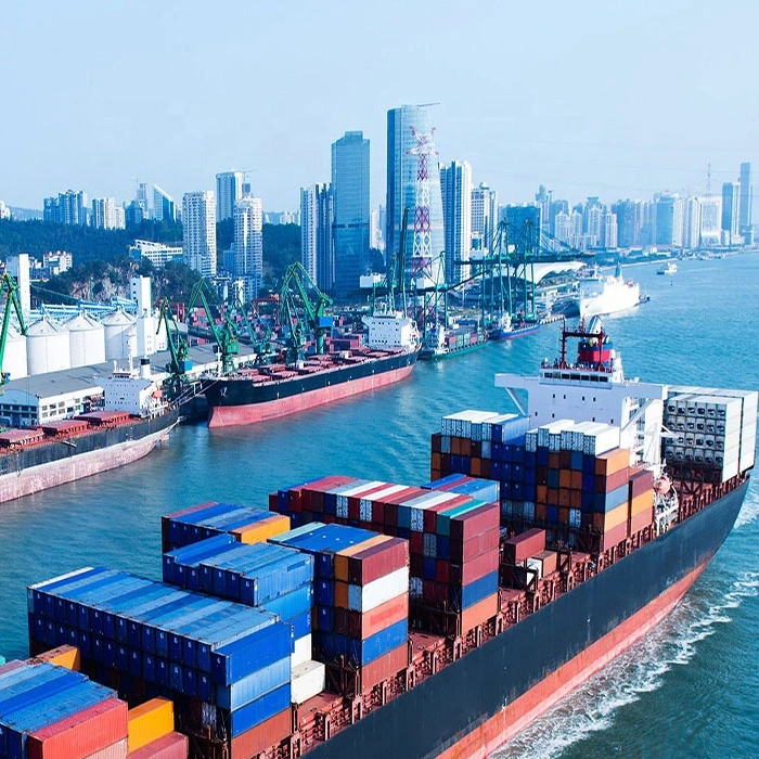Global Sea Ocean Freight Forwarder Container Shipping Service to Worldwide