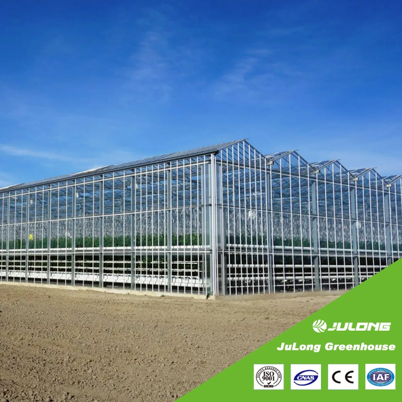 High quality/High cost performance Cheap Agriculture Commercial Venlo Polycarbonate Greenhouse with Hydroponics System for Vegetables