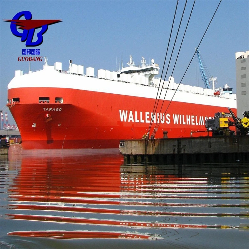 The Professional Sea Shipping Service From China to Europe Ports